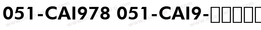 051-CAI978 051-CAI9字体转换
